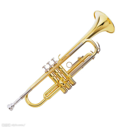 Mes Trumpet   (Gold) JBTR – 335L/AF60J
