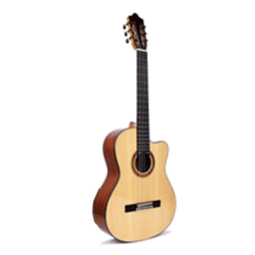 Chard Semi Acoustic Guitar (Classic)  EC-310