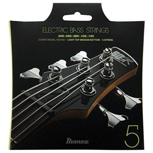 5 String Ibanez Bass Guitar – IEBS5C
